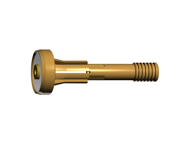 Ein goldfarbener Gasdiffusor mit einem Durchmesser von 3,2 mm und einem gerippten Gewinde. Das Design zeigt eine abgerundete Kappe und eine glatte Oberfläche.